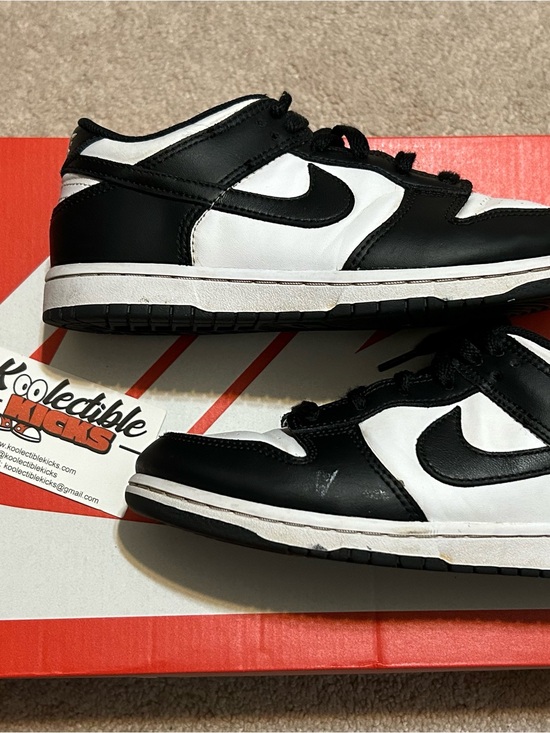 Other - Nike Dunk